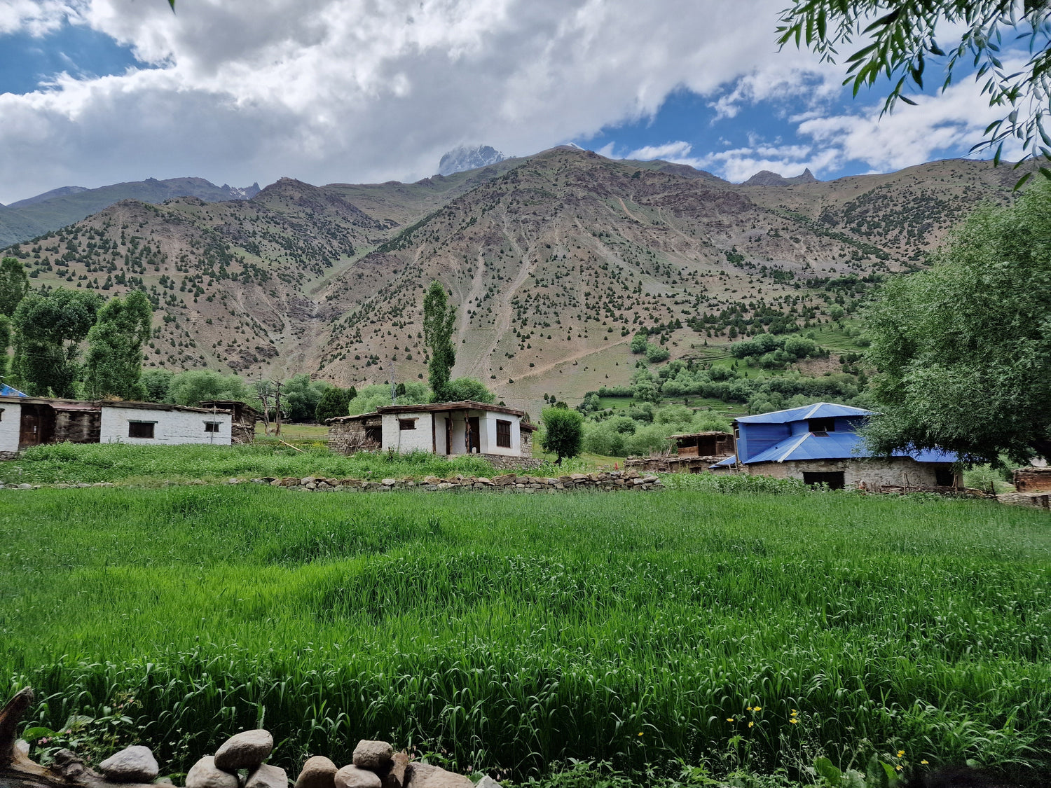 Shilajit Transport von Gilgit-Baltistan in die Schweiz, originaler Herkunftsnachweis