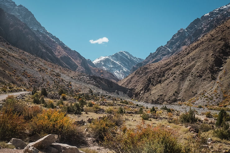 Shilajit aus Gilgit-Baltistan – Mumio mit höchster Reinheit aus Pakistan